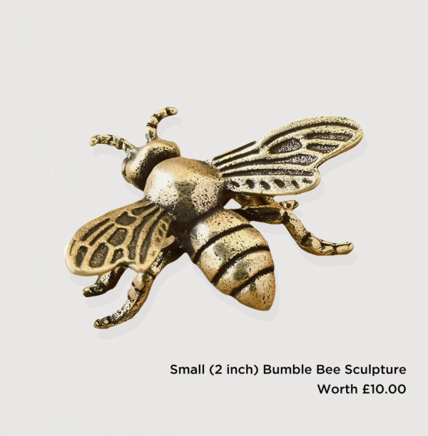 Kai's Birthday Raffle - Image 18