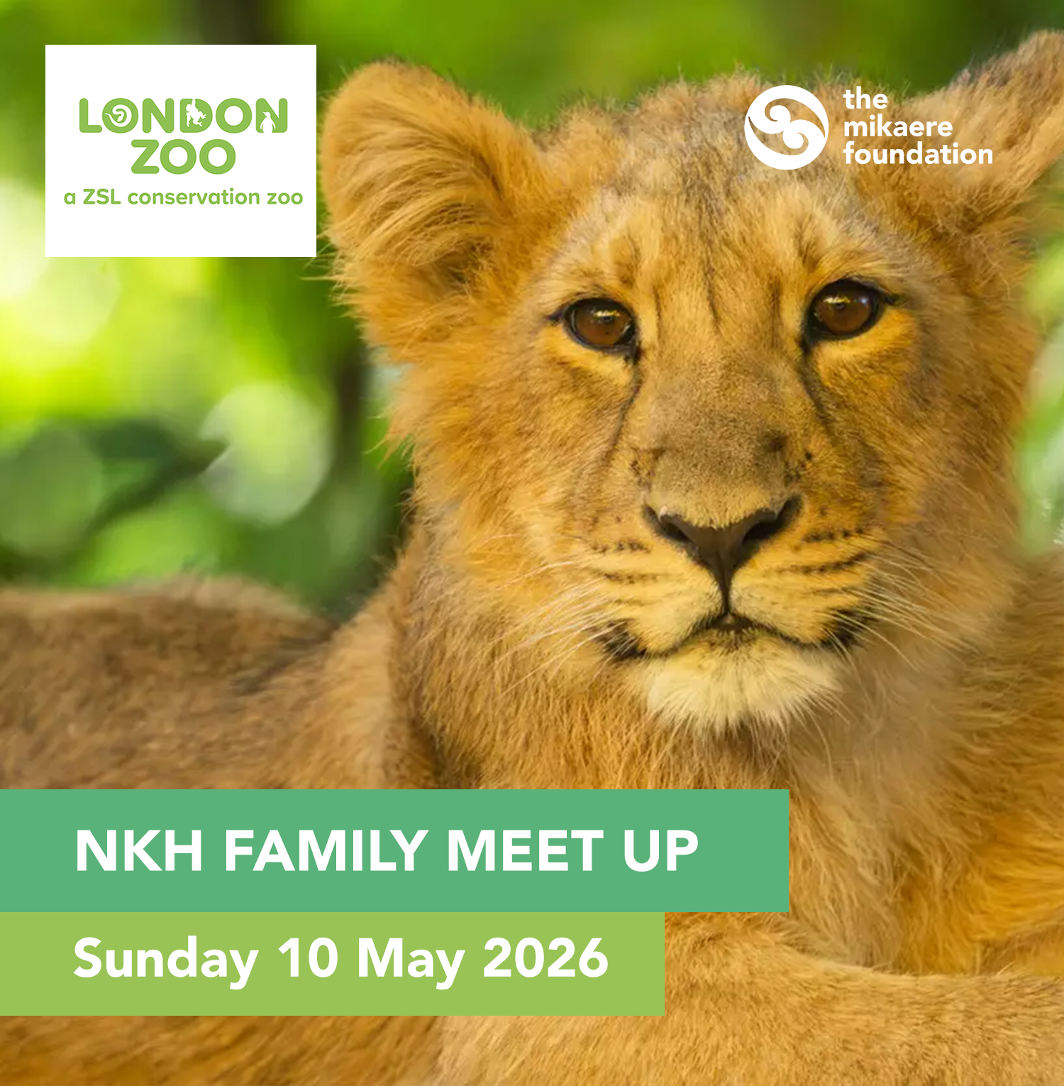 NKH Meet Up (London)